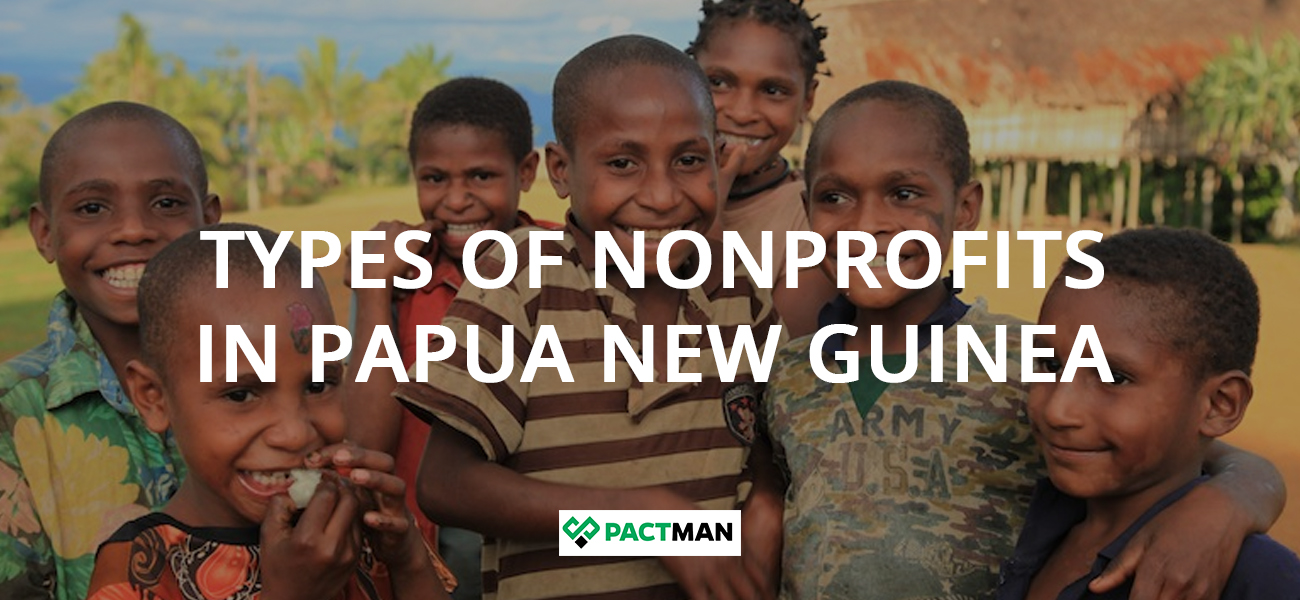 Types of nonprofits in Papua New Guinea