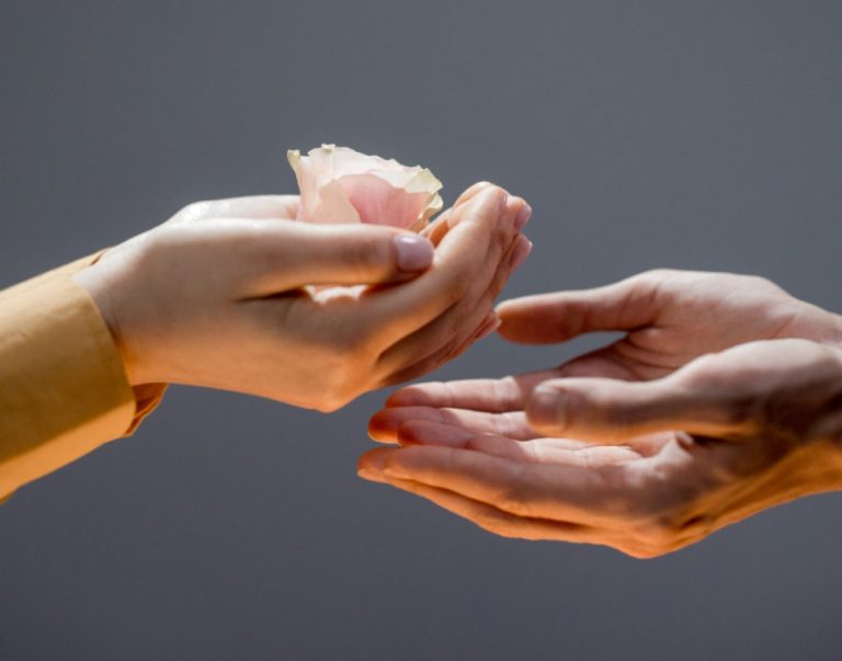 Charity causes