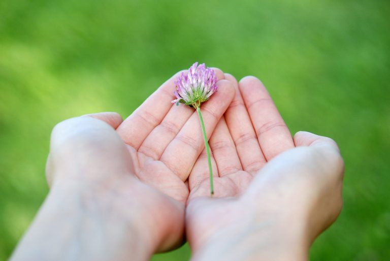 Nonprofit grants
