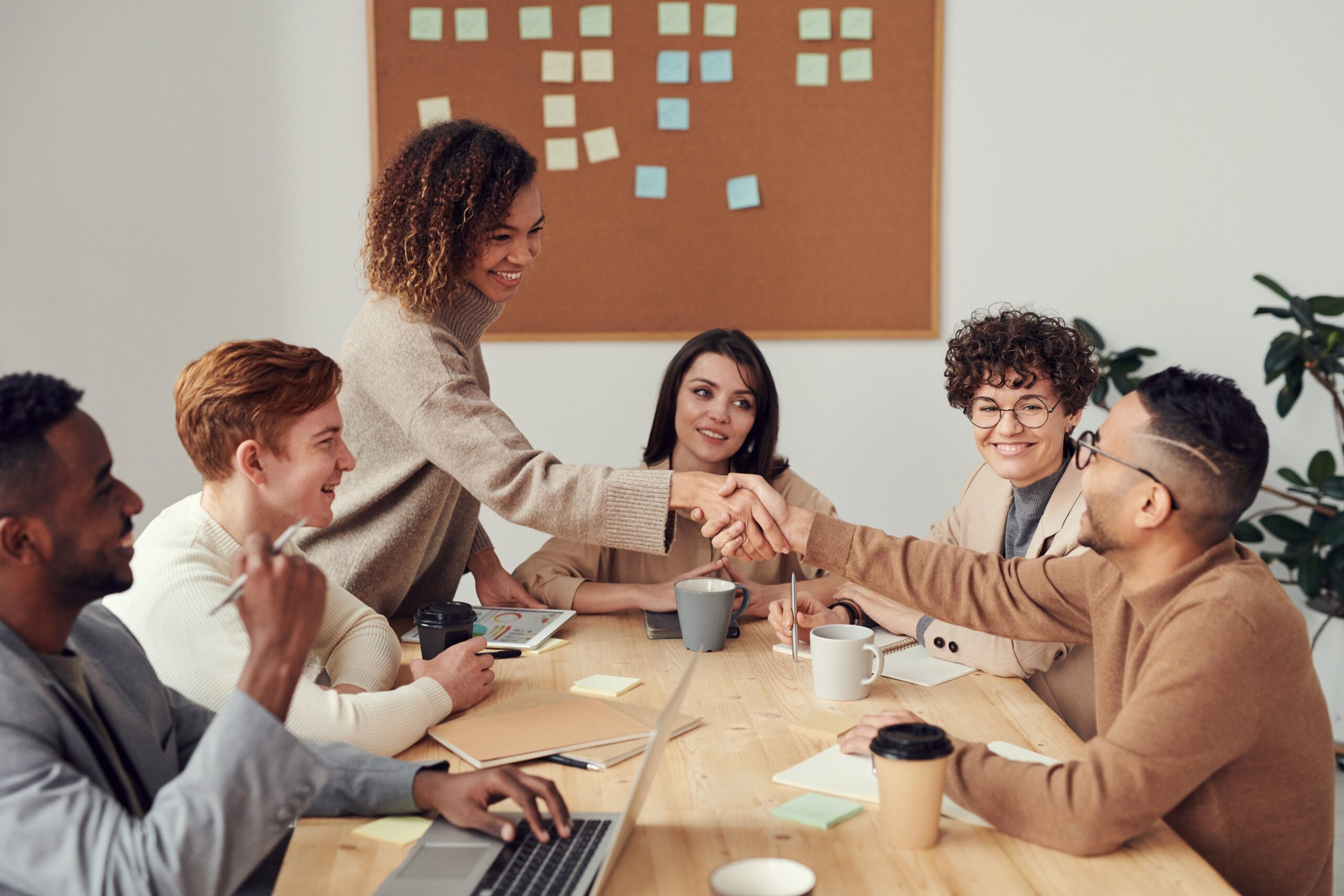 Nonprofit Business Plan