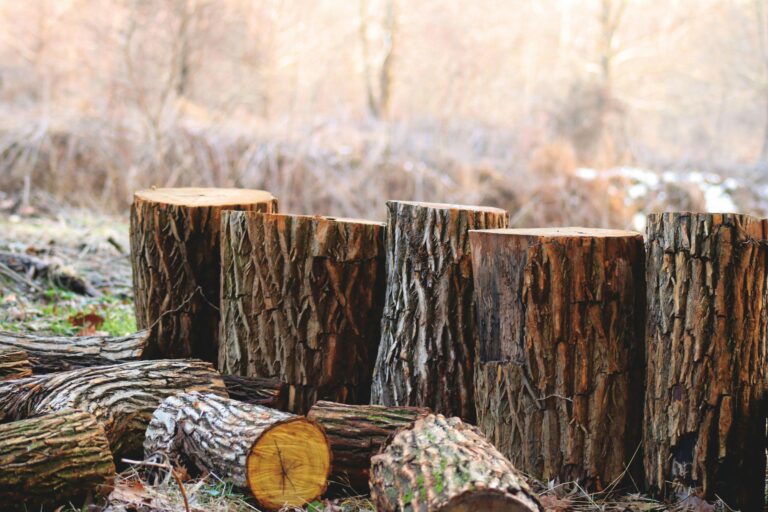 environmental charities