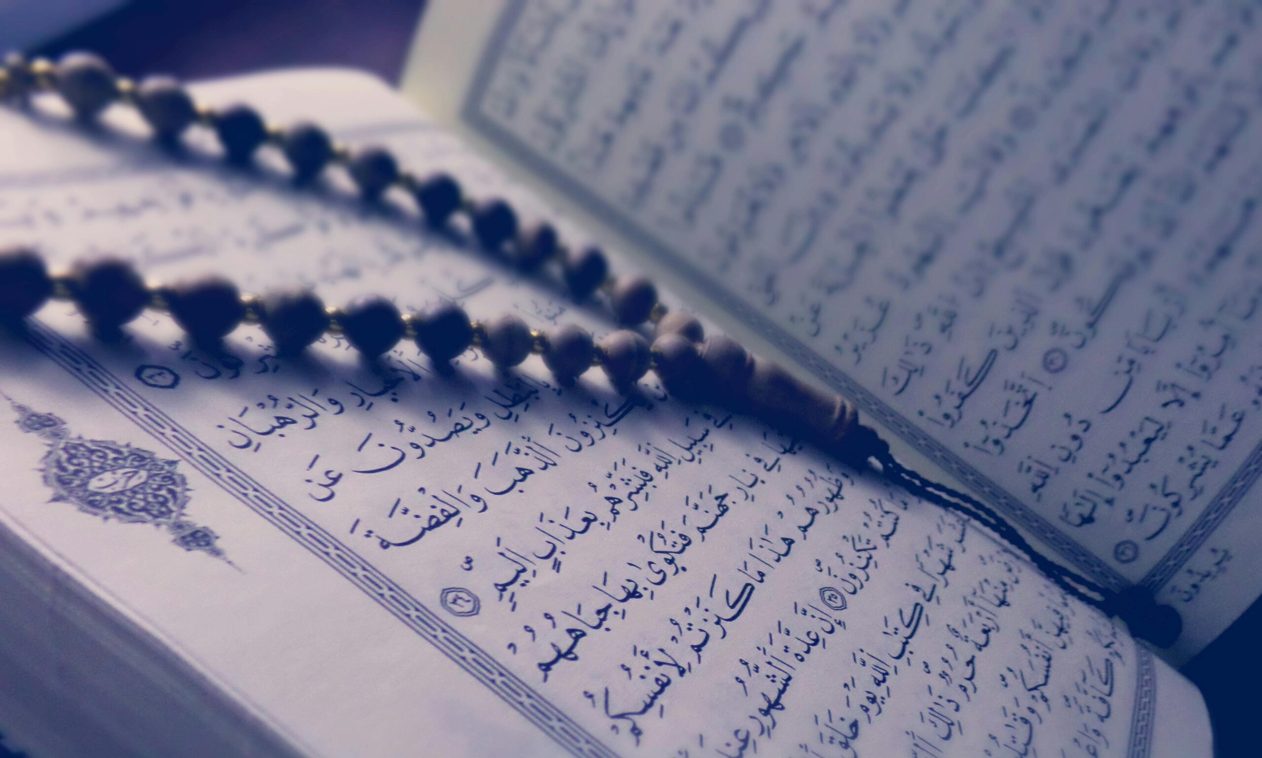 Muslim Charity