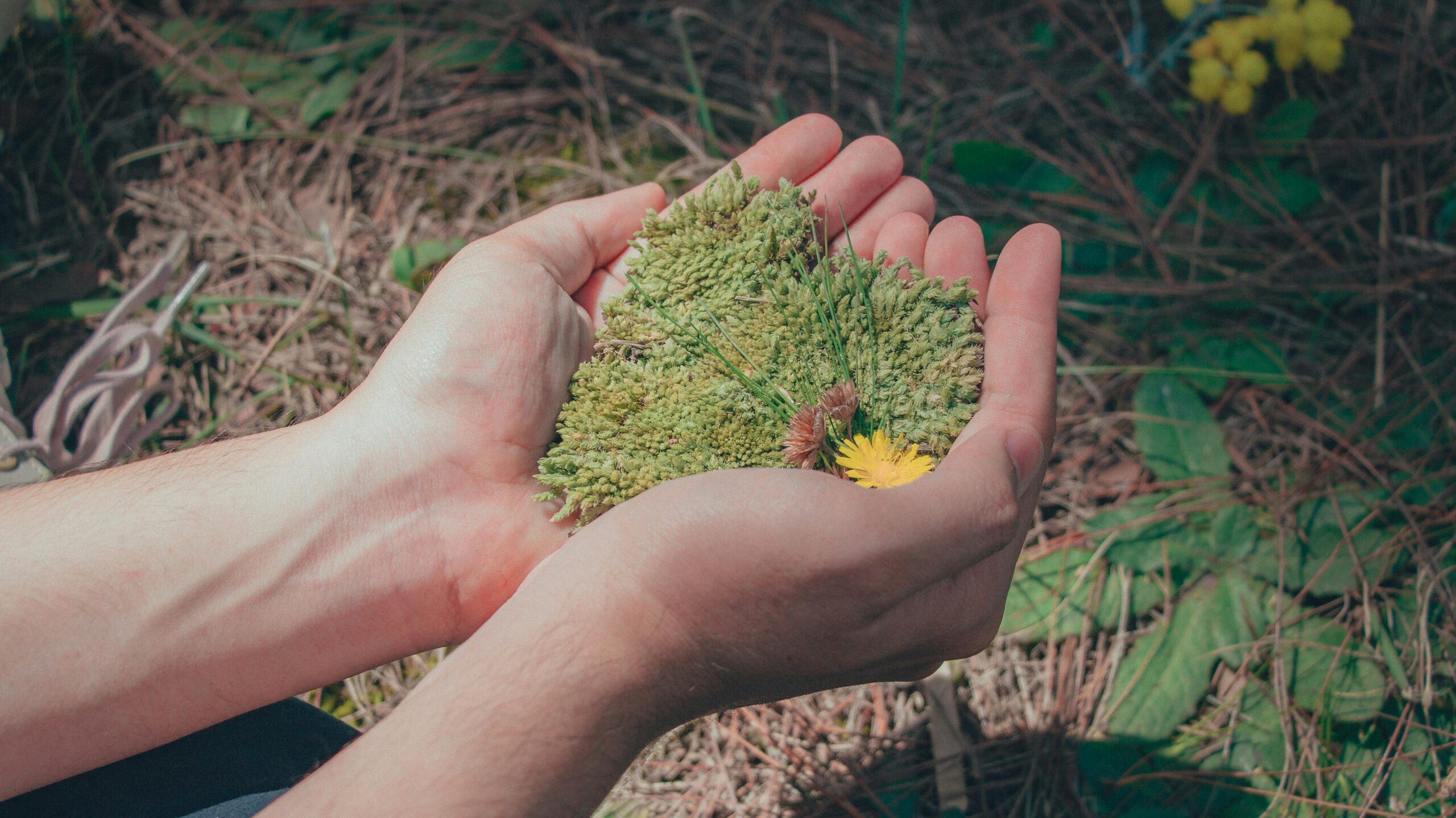 Charitable giving