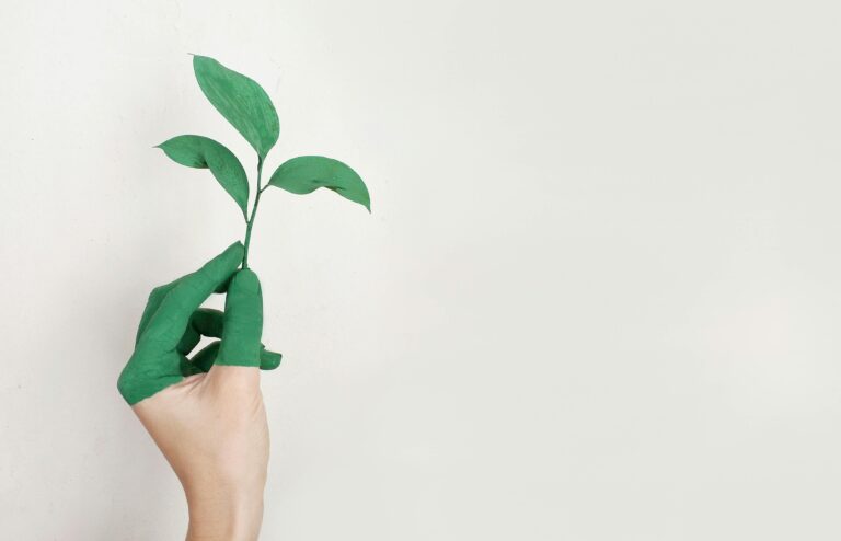 Socially Responsible Investing