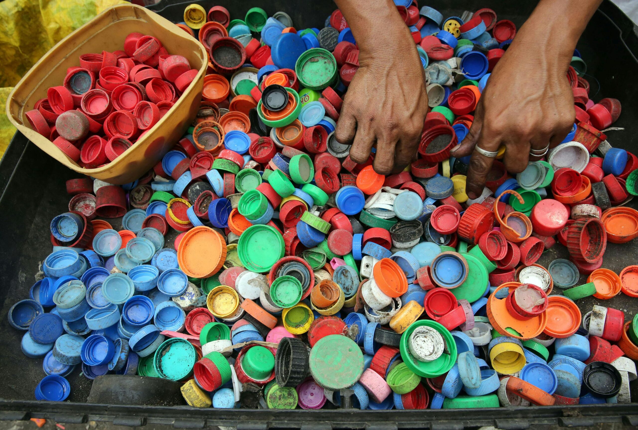 Environmental charities