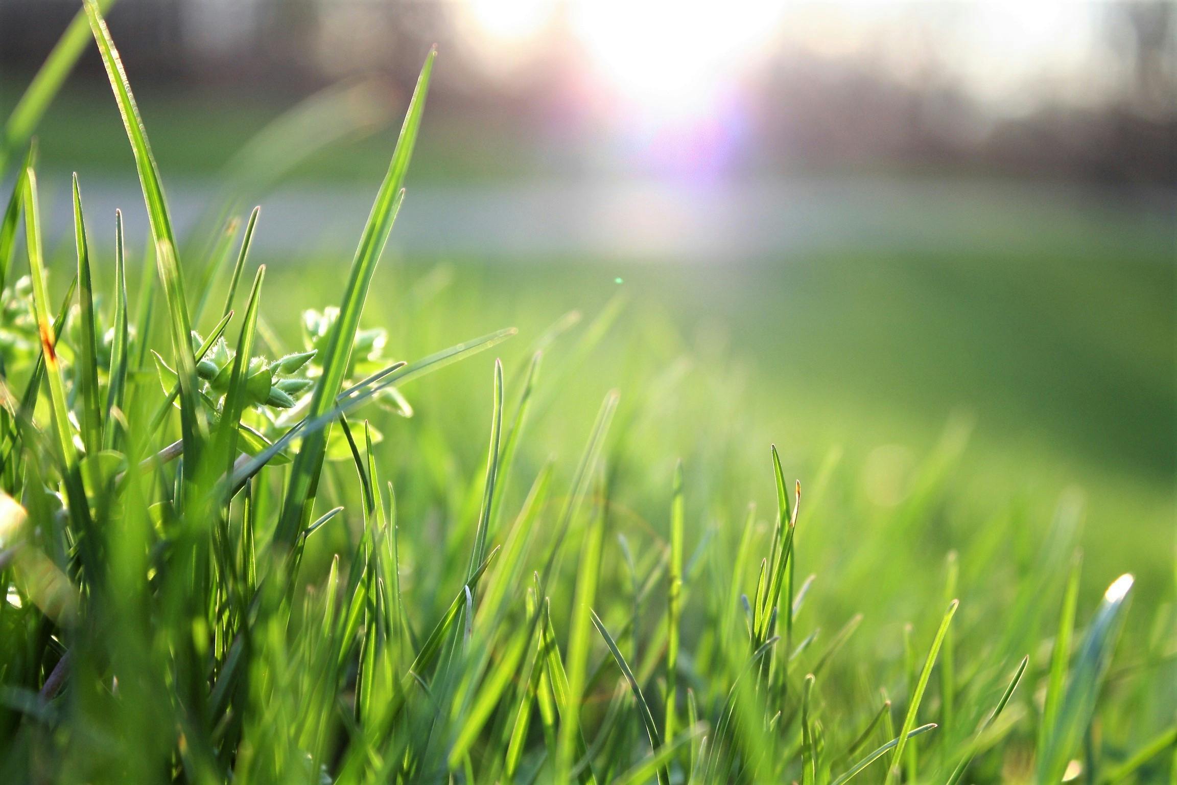 Environmental charities