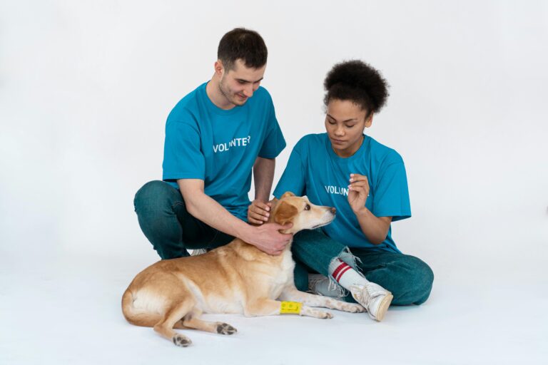 volunteer projects
