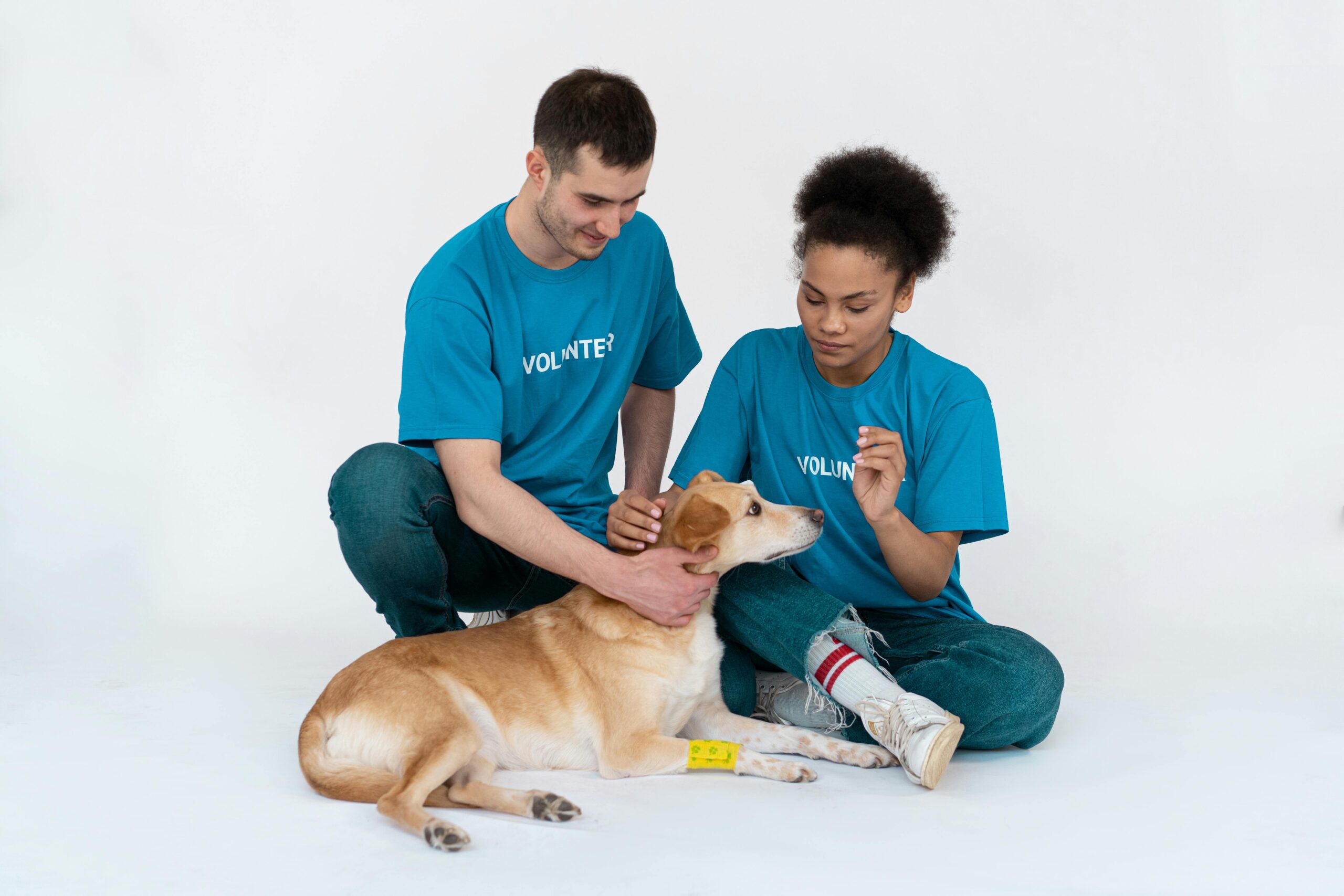 volunteer projects