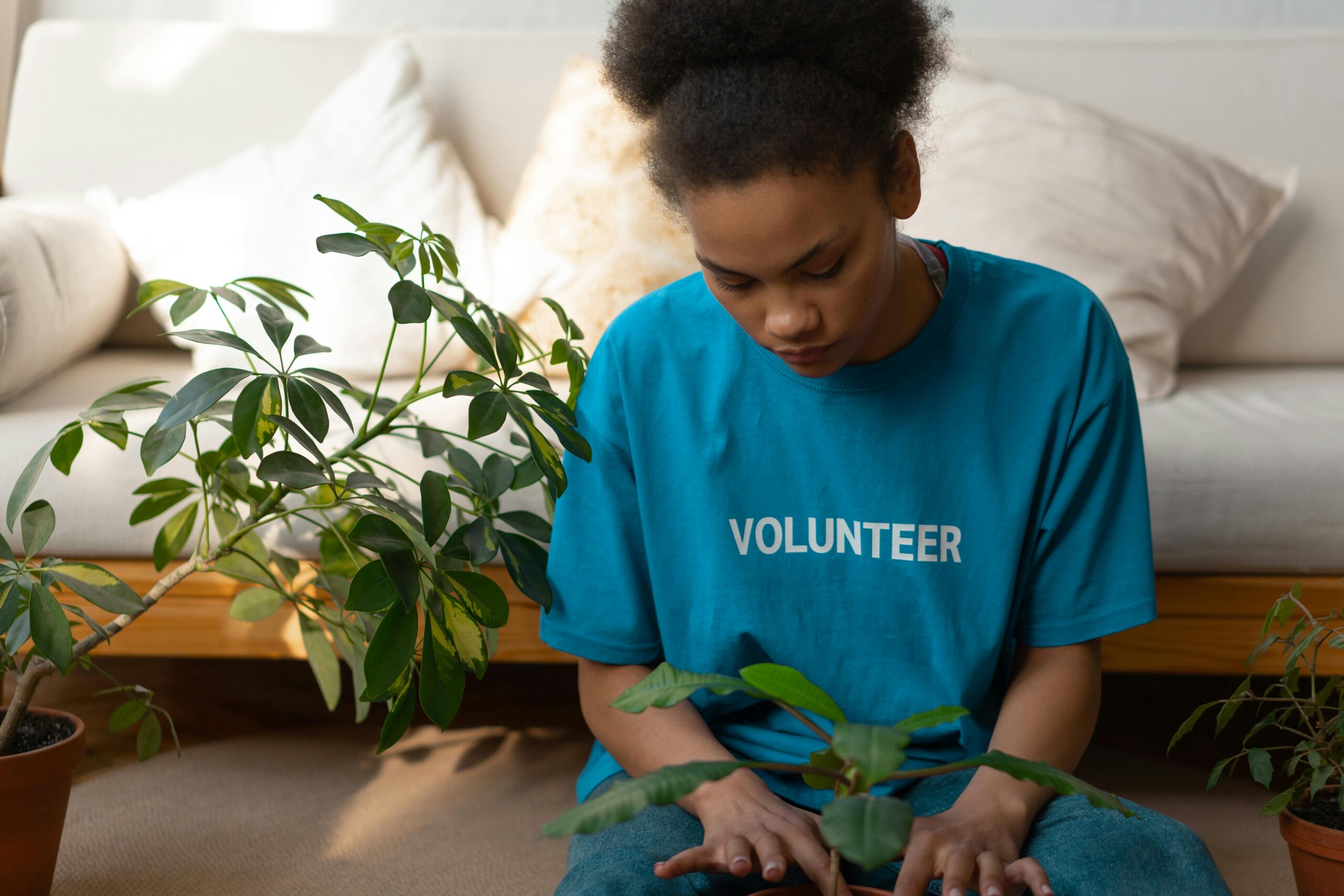 Volunteer projects
