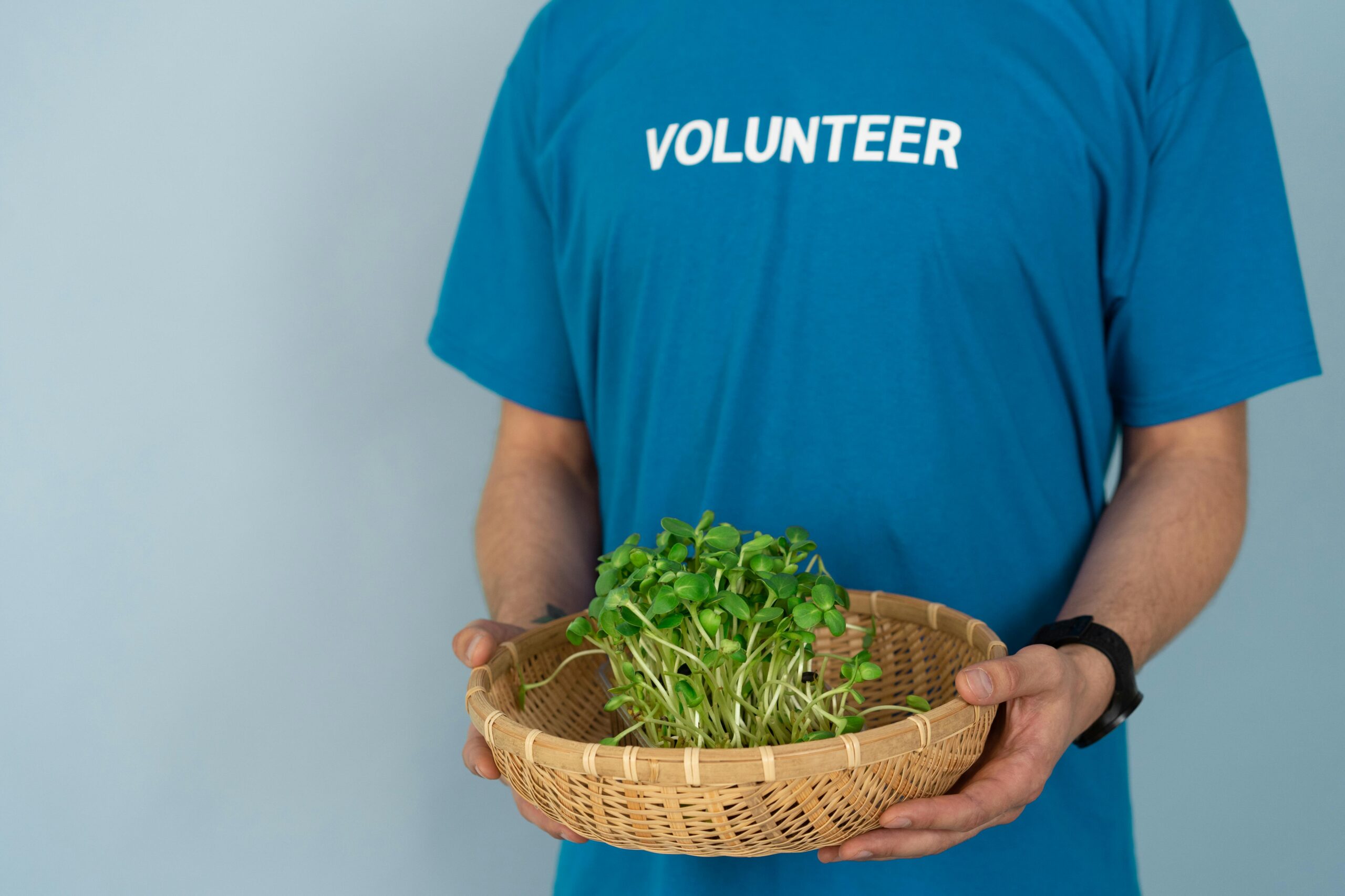 Volunteer projects