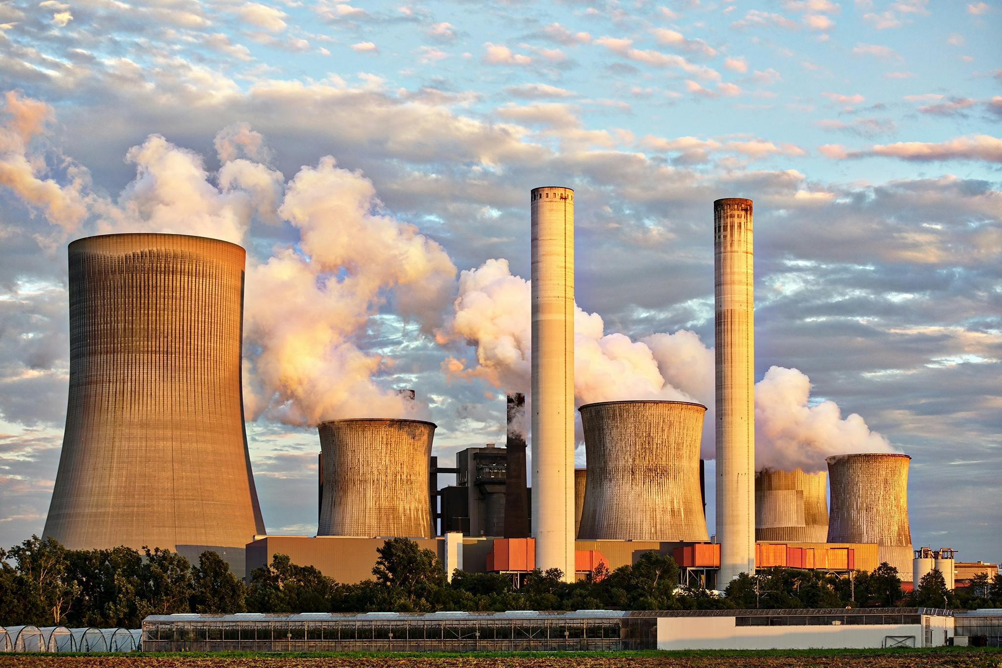 Environmental Charities