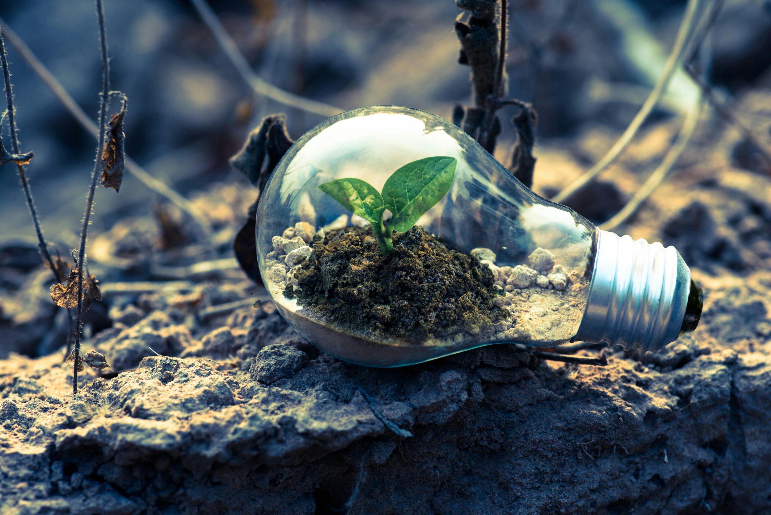 Environmental Charities