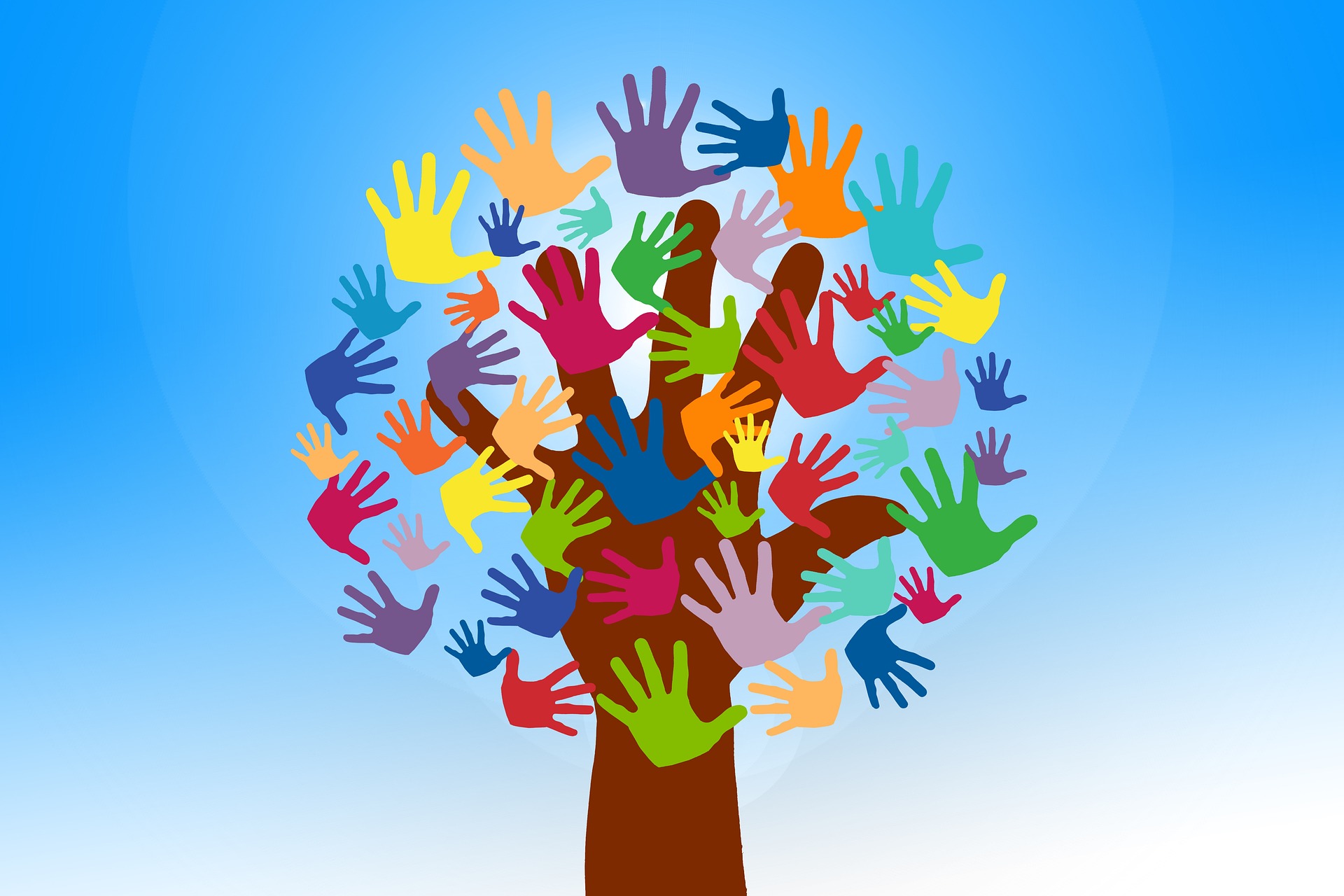 Volunteer Management