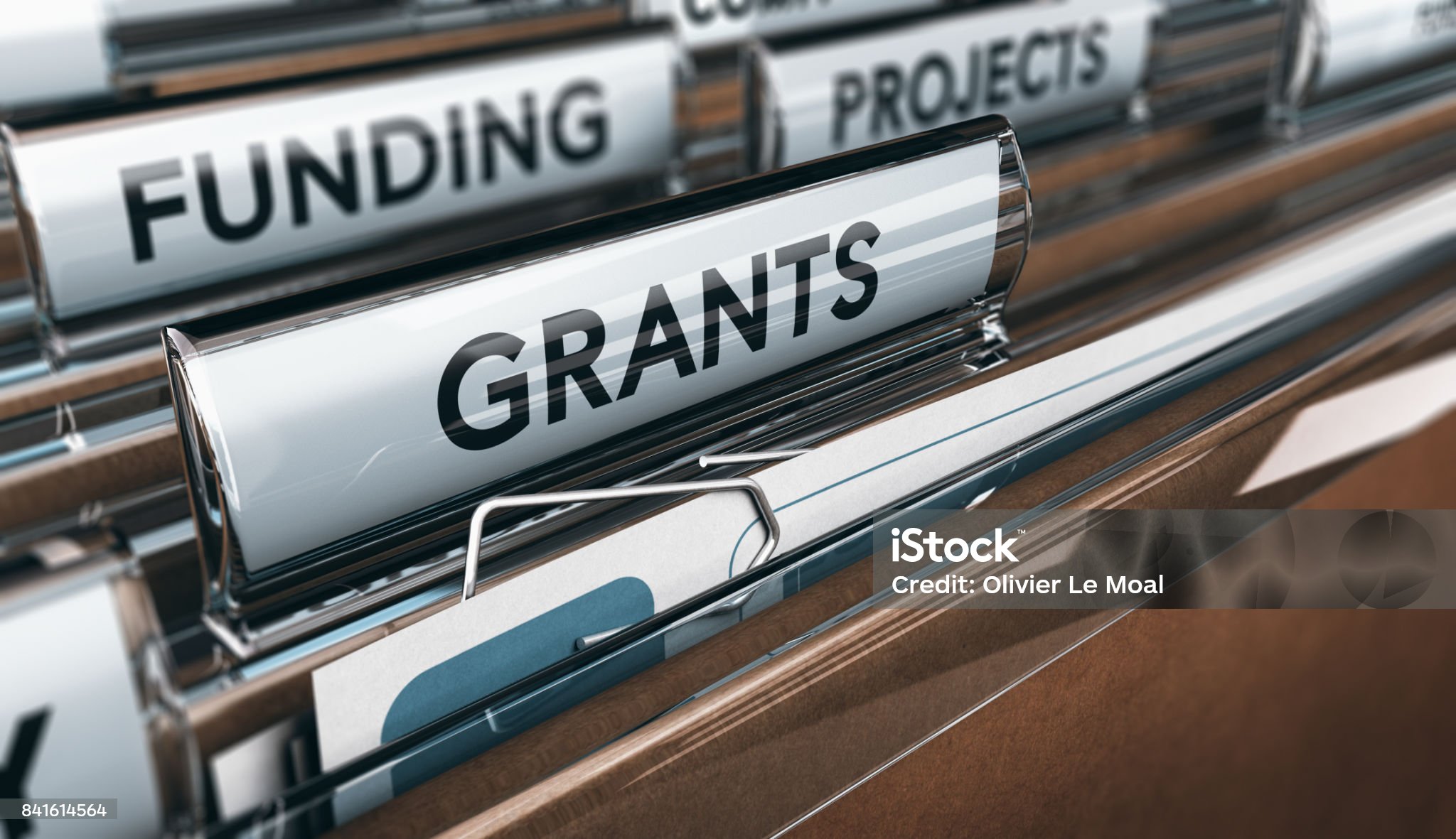 Grants Management System